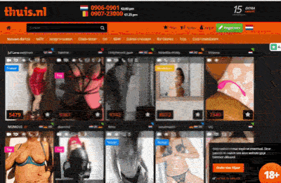 Thuis.nl weer online